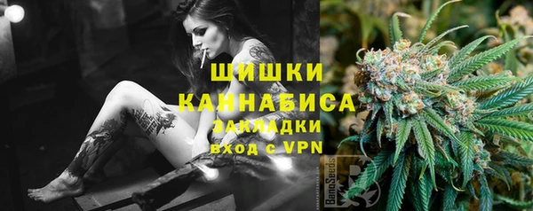 стаф Балахна